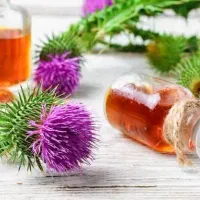 فراخوان ویژه ی علاقه مند آن طب سنتی|گردهمایی و همایش|هشتگرد, شهرک گلها|دیوار