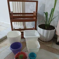 گل و گلدان و استند چوبی