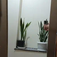 آینه|آینه|مشهد, شهرک بهارستان|دیوار