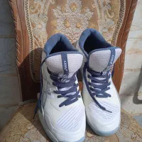 اسیکس کفش والیبال