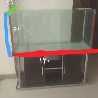 آکواریم کبوتر
