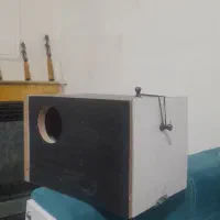 لونه عروس هلندی|لوازم جانبی حیوانات|اندیشه, اندیشه فاز ۱|دیوار