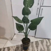 گلها و درختچه های مصنوعی|گل مصنوعی|رباطکریم, رباطکریم|دیوار