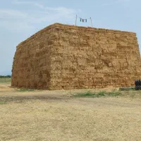 پرس شالی پرس برنج