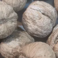 گردوی فرد اعلا تویسر کان