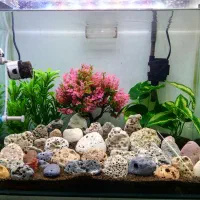 آکواریوم خلیج فارس