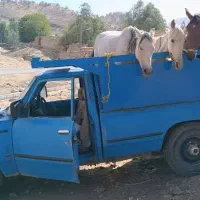 خرید و فروش اسب