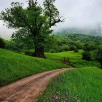 همسفر برای طبیعت گردی