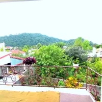 اجاره ماهیانه ویلا جنگلی جاده اسالم از مالک|اجارهٔ خانه و ویلا|تالش, تالش|دیوار