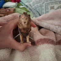 اسباب بازی فیگور