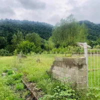 ۲۷۰متر زمین کوهستانی جنگلی با مجوزساخت در ماسوله|فروش زمین و ملک کلنگی|ماسوله, |دیوار