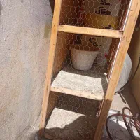 قفس سالم و دوتا هم جا تخمی داره