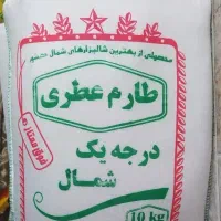 برنج کشت ۱ و ۲ فریدون کنار