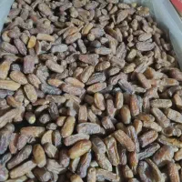 راننده باهرماشین حتی پیکان ماهی۴۰تمن برا شهرستان|استخدام حمل و نقل|تهران, نیلوفر|دیوار