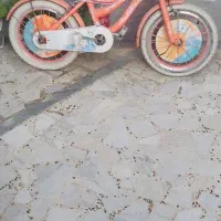 دوچرخه سالم