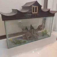 آکواریوم تمیز|ماهی|شاهین‌شهر, عطار|دیوار