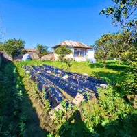 خونه-روستایی-700متری-باسندتکبرگ-نزدیک-فریدونکنار