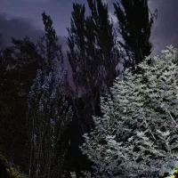 کمپ طبیعت در دل کوه + کنار رودخانه (اجاره)