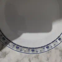 بشقاب چینی|ظروف سرو و پذیرایی|بروجرد, |دیوار