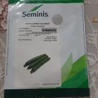 بذر خیار 2823