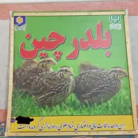 تابلو بلدرچین