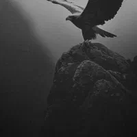 بیکارم دنبال کار میگردم