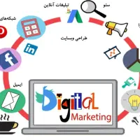 کارآموز خانم دیجیتال مارکتینگ و سئو