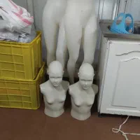 رگال و مانکن|فروشگاه و مغازه|زنجان, |دیوار