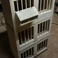 لانه کبوتر|لوازم جانبی حیوانات|قزوین, |دیوار