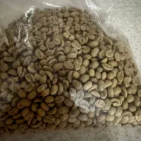 قهوه سبز