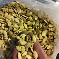 خشکبار ، کدو پر مغز|خوردنی و آشامیدنی|مشهد, کارمندان دوم|دیوار