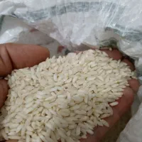 برنج عنبربو خوزستان برند عزیزان|خوردنی و آشامیدنی|محمدشهر, محمدشهر|دیوار