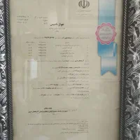 تولید دستگاه شهربازی تکاندهنده
