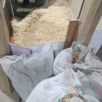 پوشال و خاک اره نراد ، مرغ ، خشک