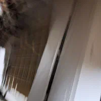 اسپلیت سرد و گرم در حد نو فقط سه ماه کارکرده|کولر گازی و فنکوئل|گرگان, |دیوار