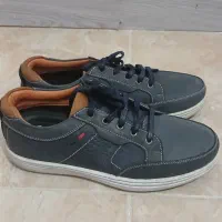 کتانی اسپرت