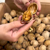 مرکز پخش اجیل و خشکبار رشت