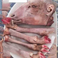 تمیز کردن کله پاچه گوسفند