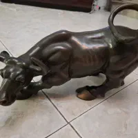 گاو برنز