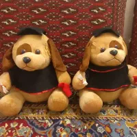 اسباب بازی سگ دانشجو