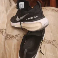 کتانی|کیف، کفش، کمربند|کرج, برغان|دیوار