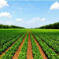 فروش-هزار-متر-زمین-کشاورزی