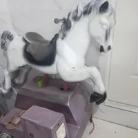 اسب الکلنگی برقی سالم