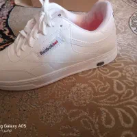 کف ش نونو هستن هنوز پا نرفته