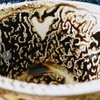 فال تاروت سر کتاب احساسی مالی آینده