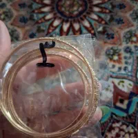 بدلیجات