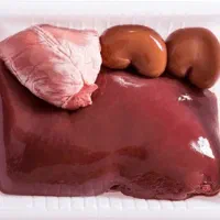 اشغال گوشت جگرکی پروتئین دار برای سگ های خانگی