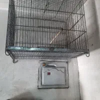 قفس قناری سهره