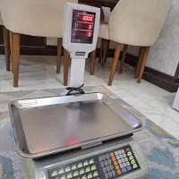 ترازو توزین صدر ۶۰ کیلویی