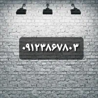 ۰۹۱۲۳۸۶۷۸۰۳